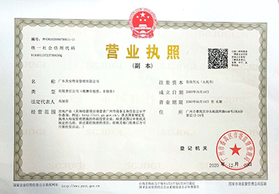 企业营业执照副本